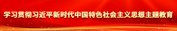 女生大骚逼学习贯彻习近平新时代中国特色社会主义思想主题教育