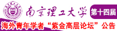 人人抠叉逼网南京理工大学第十四届海外青年学者紫金论坛诚邀海内外英才！